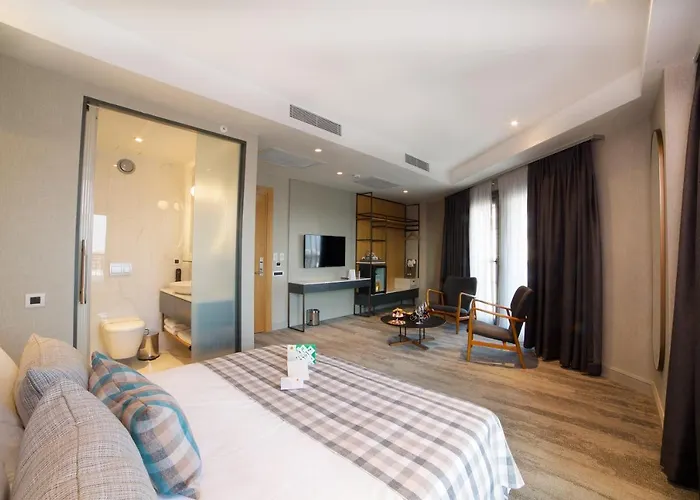 Dosso Dossi Yenikapi Hotel 3*