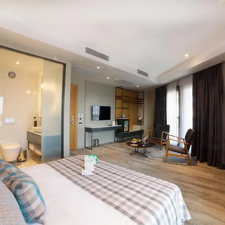 Dosso Dossi Yenikapı Hotel 3*